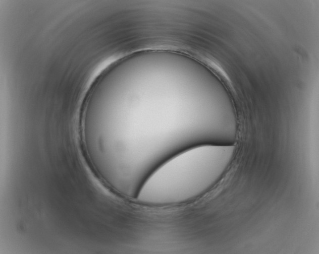 X0000115591087200911100926