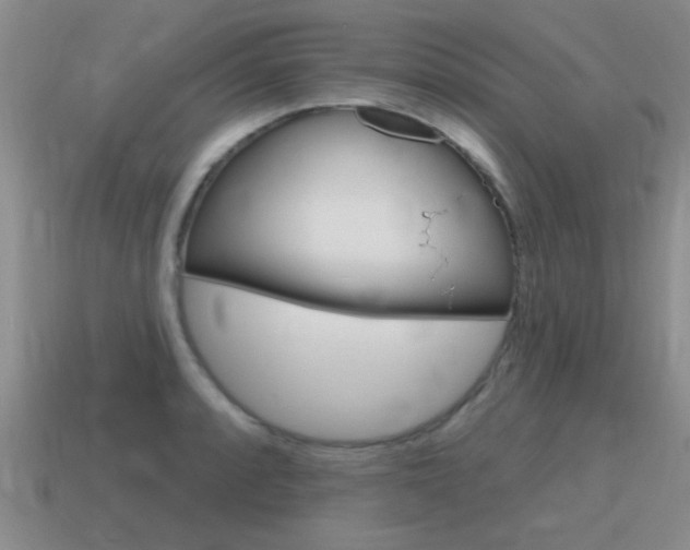 X0000115591088200911100926