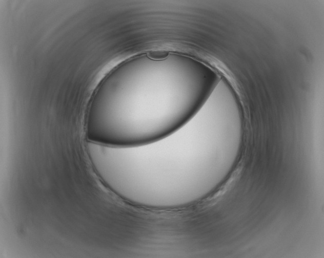 X0000115591089200911100926