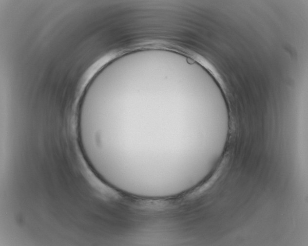 X0000115591090200911100926