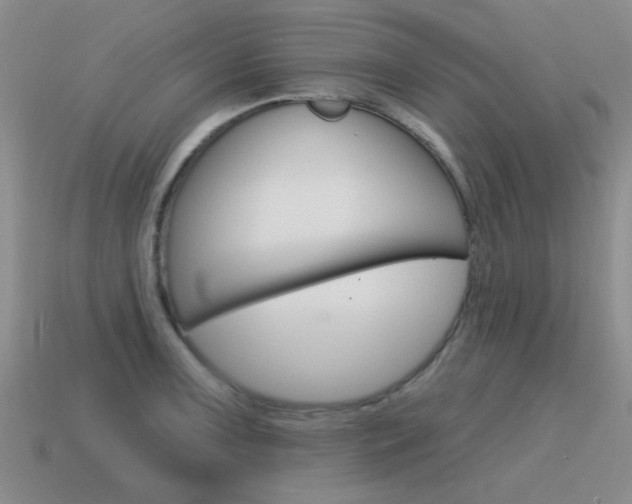 X0000115591091200911100926