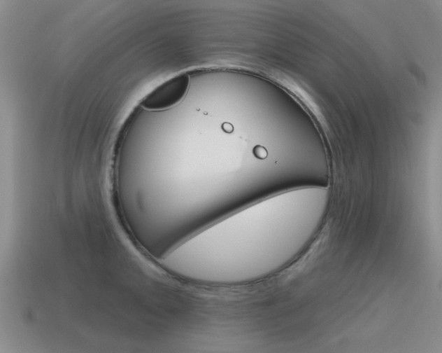 X0000115591093200911100926