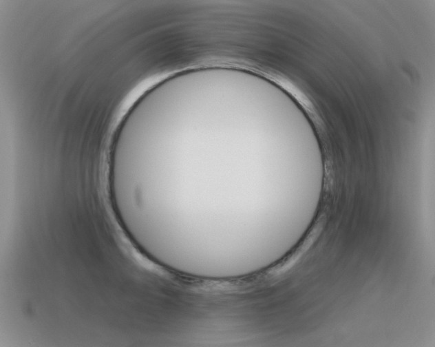 X0000115591094200911100926