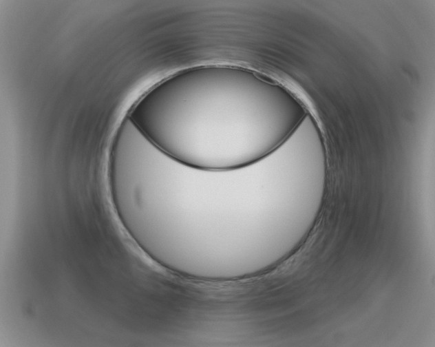 X0000115591096200911100926