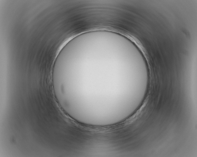 X0000115591097200911100926