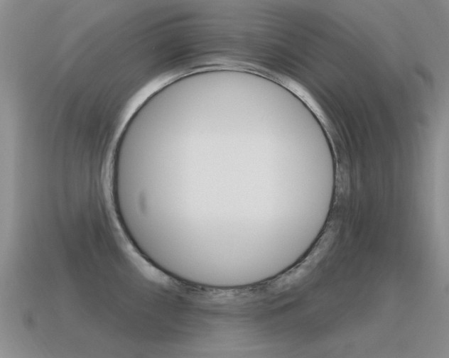 X0000115591098200911100926