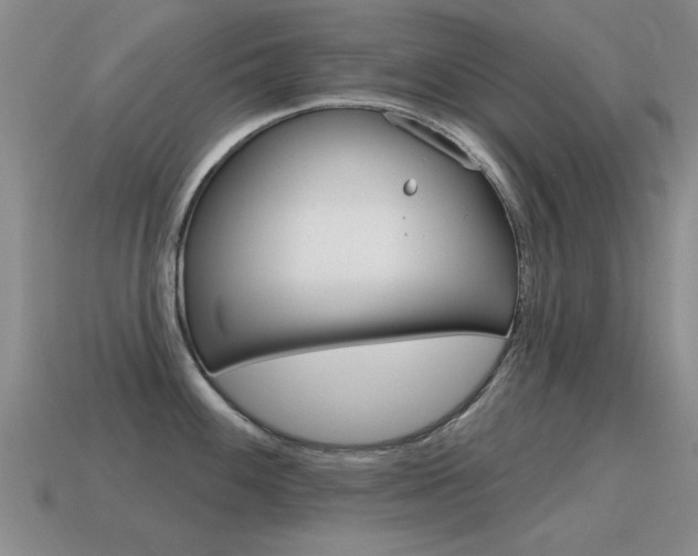 X0000115591100200911100926