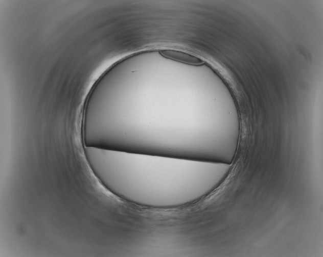 X0000115591102200911100926