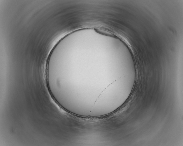 X0000115591103200911100926