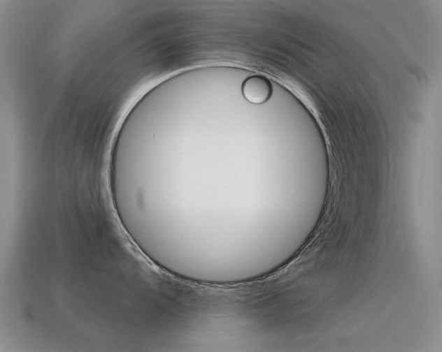 X0000115591104200911100926