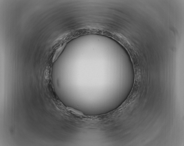 X0000115591110200911100925