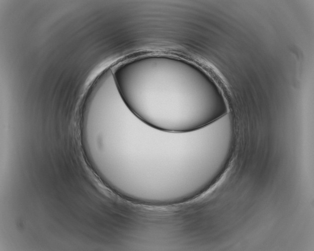 X0000115591114200911100925