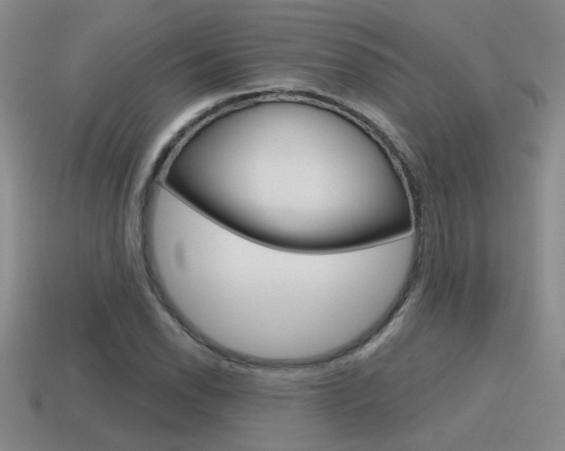 X0000115591118200911100925