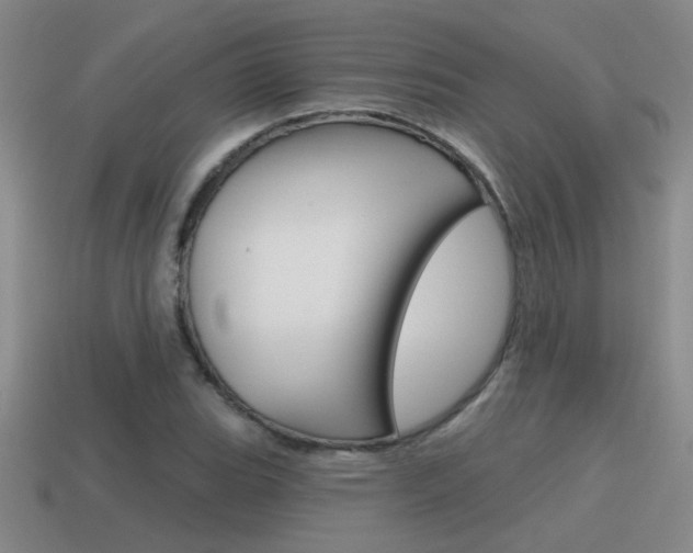 X0000115591119200911100925