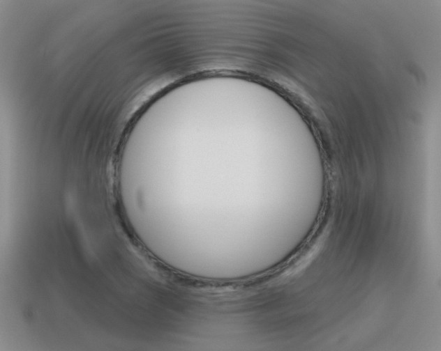 X0000115591121200911100925