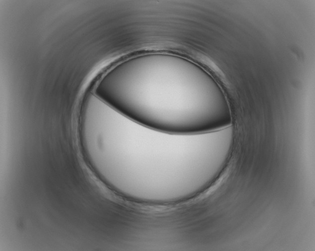 X0000115591122200911100925