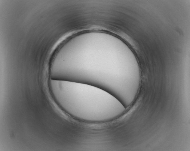 X0000115591126200911100925