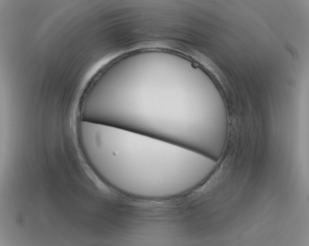 X0000115591127200911100925
