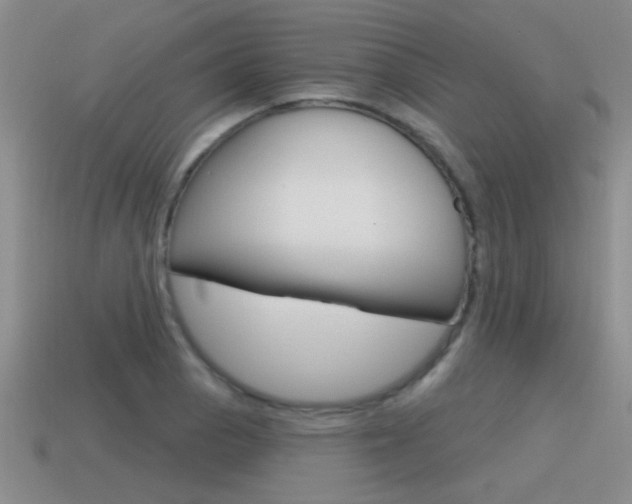 X0000115591129200911100925