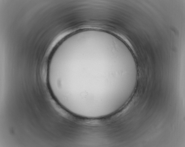X0000115591131200911100925