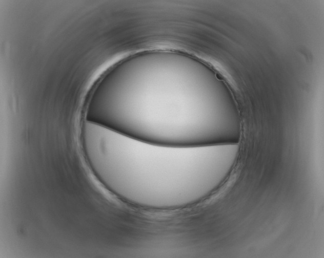 X0000115591134200911100925