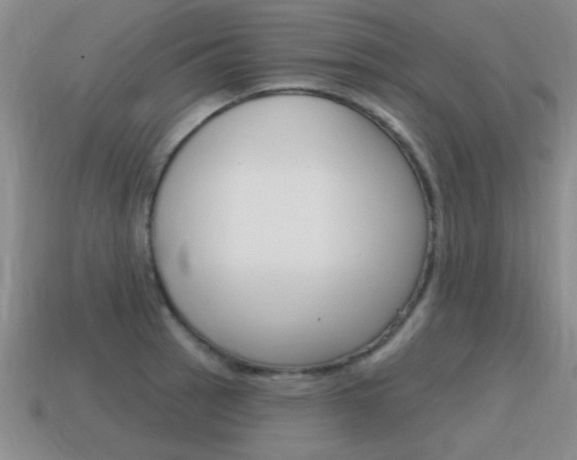 X0000115591137200911100925