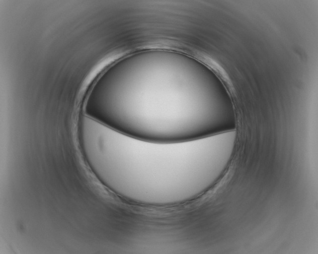 X0000115591138200911100925