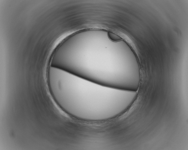 X0000115591141200911100926