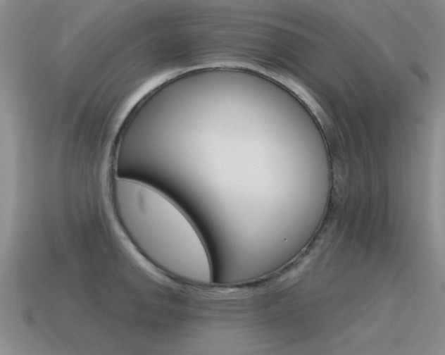 X0000115591142200911100926