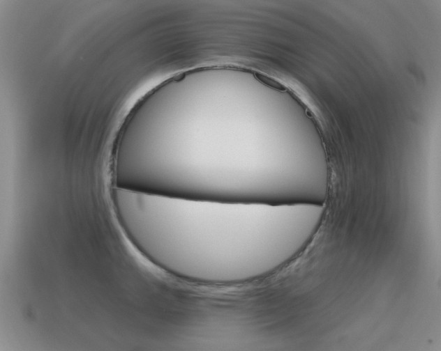 X0000115591143200911100926