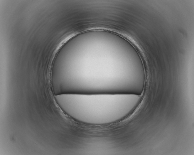 X0000115591145200911100926