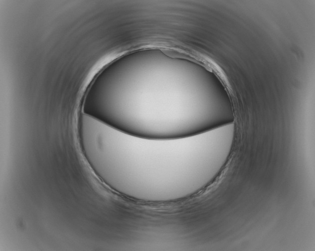 X0000115591146200911100926