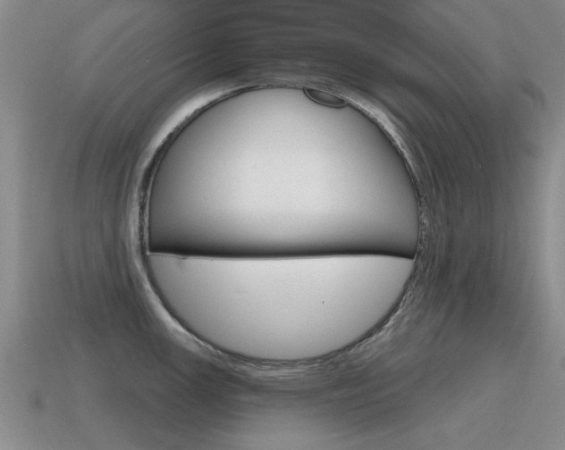 X0000115591147200911100926