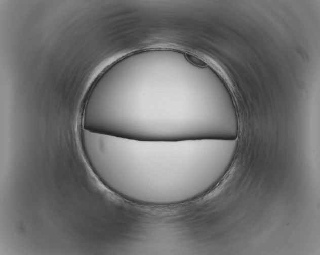 X0000115591149200911100926