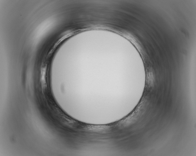 X0000115591150200911100926