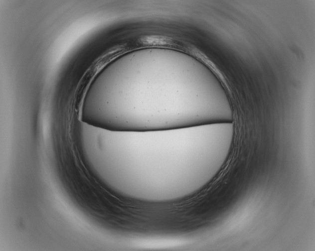 X0000115591151200911100926