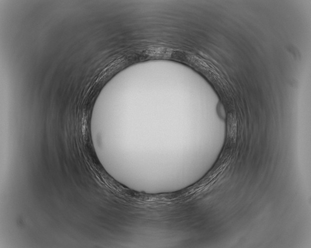 X0000115591154200911100925
