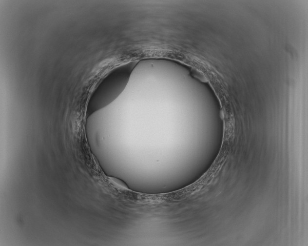 X0000115591157200911100925