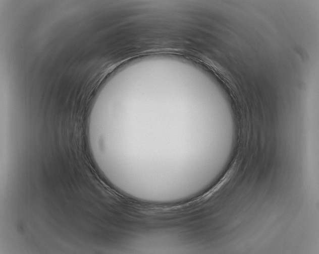 X0000115591161200911100925