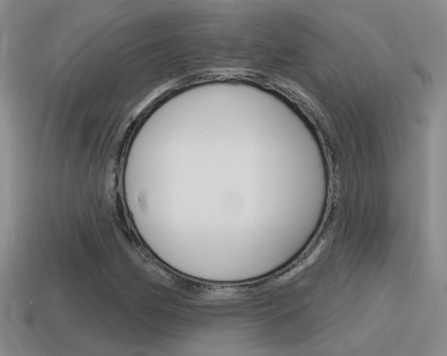 X0000115591162200911100925