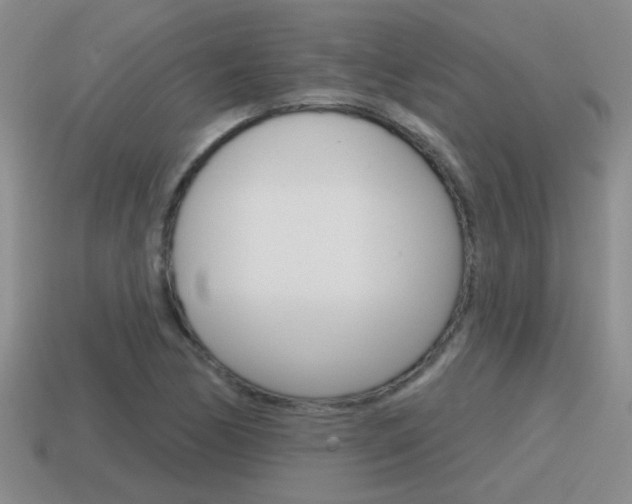 X0000115591170200911100925