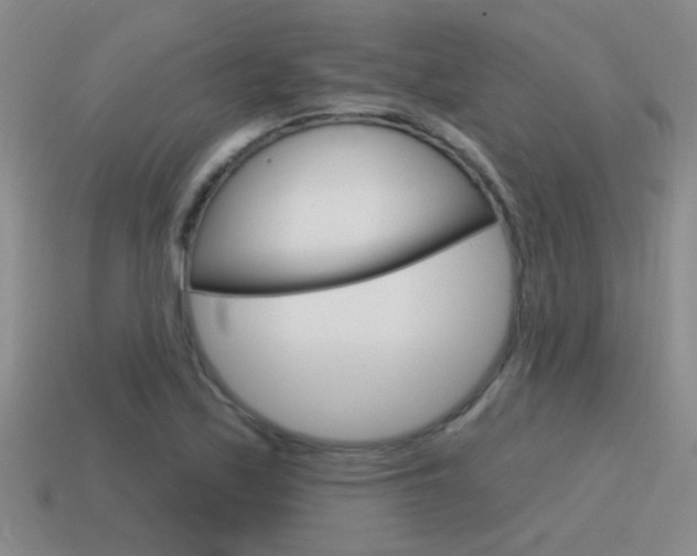 X0000115591171200911100925