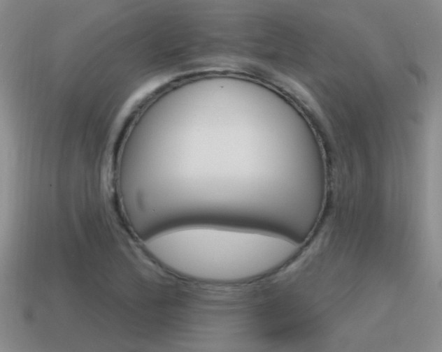 X0000115591172200911100925