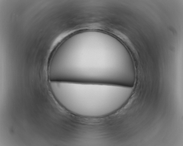 X0000115591176200911100925
