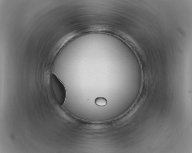 X0000115591177200911100925