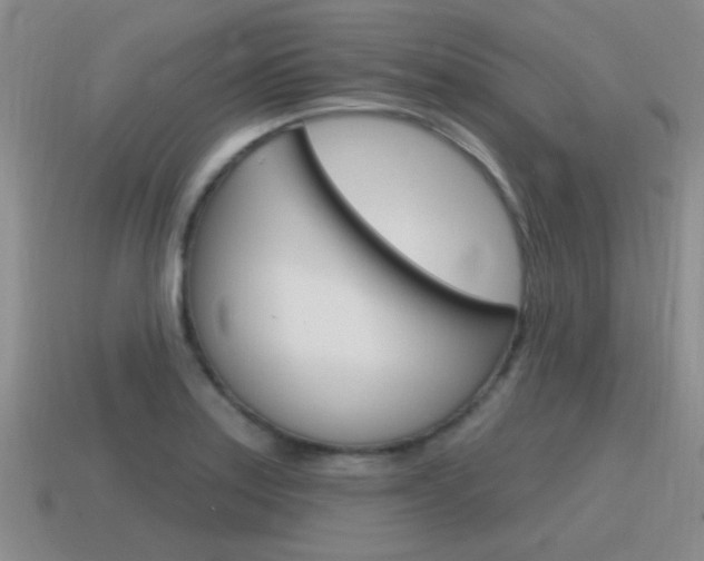 X0000115591179200911100925