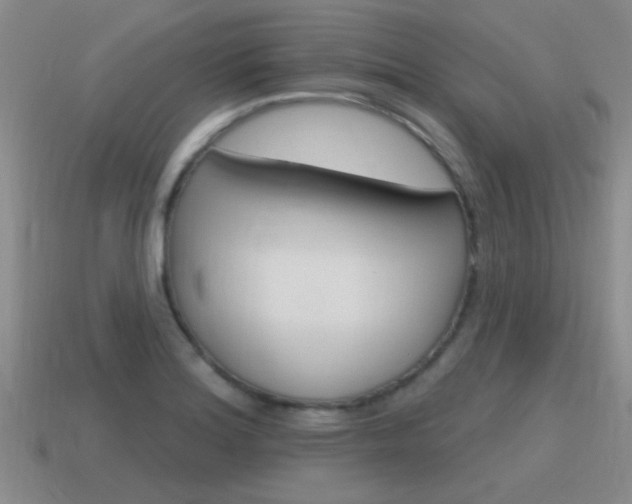 X0000115591180200911100925