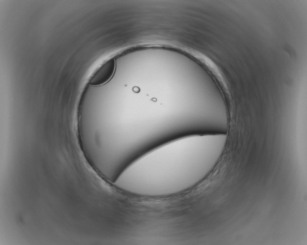 X0000115591191200911100925
