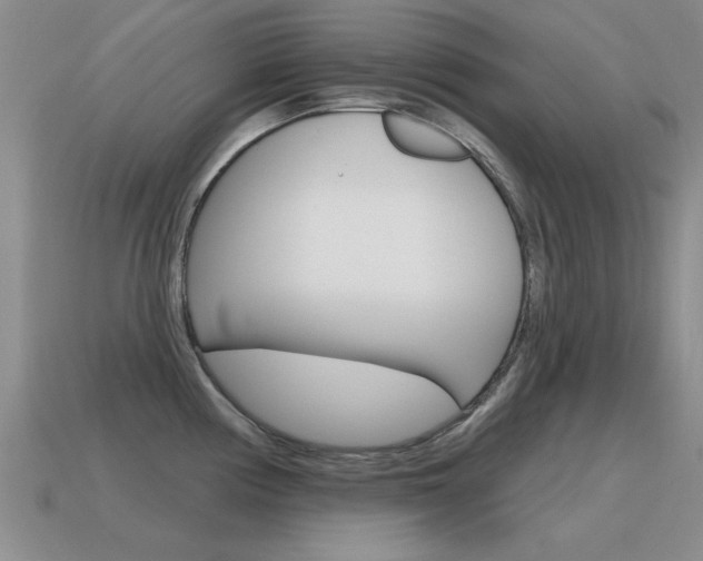 X0000115591194200911100925