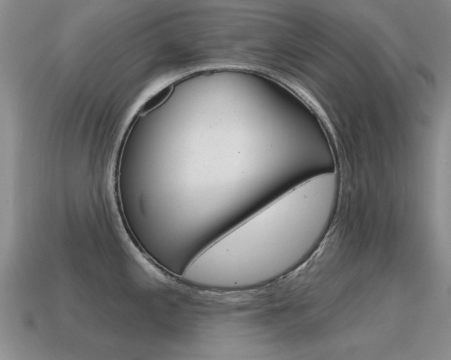 X0000115591197200911100924